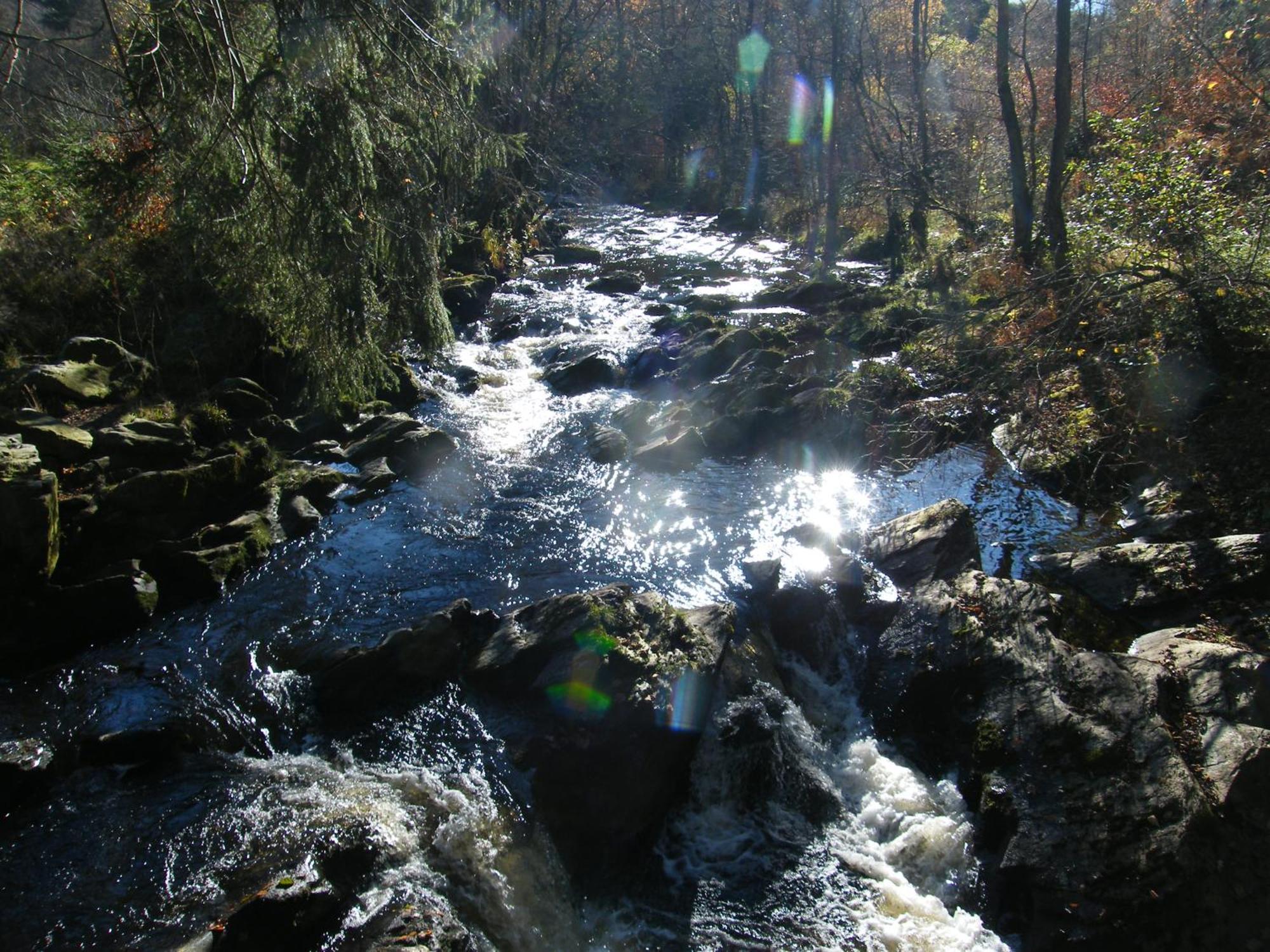 Apartment Am Fluss Im Haus An Der Rur Monschau Esterno foto